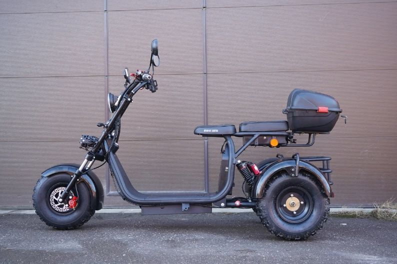 Ситикоко трицикл. Электроскутер citycoco Trike 2000. Citycoco 3000w трицикл. Вайт СИБИРИЯ электроскутер трехколесный. Электроскутер citycoco 2000w.