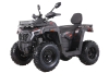 Бензиновый квадроцикл MOTAX GRIZLIK T250 BASIC красный