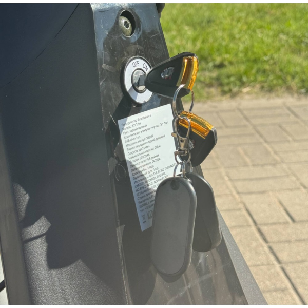 Электроскутер Smart Balance X11 Trike