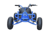 Электрокарт Skyboard Karting Krasnodar 1000W синий