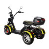 Электротрицикл SIBERTON PRO TRIKE 3000W