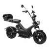 Электроскутер SkyBoard Baikal BR50-3000 PRO MAX 