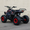 Электроквадроцикл ECO MINI X3 36V50AH