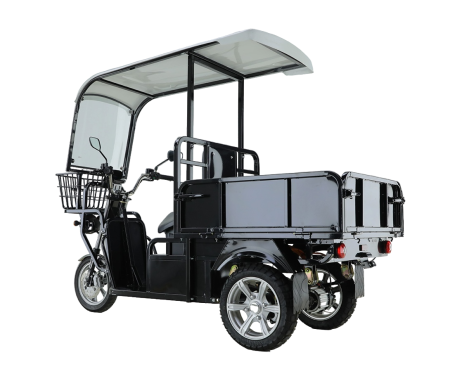Грузовой электроскутер трицикл Рорикс ET-G90